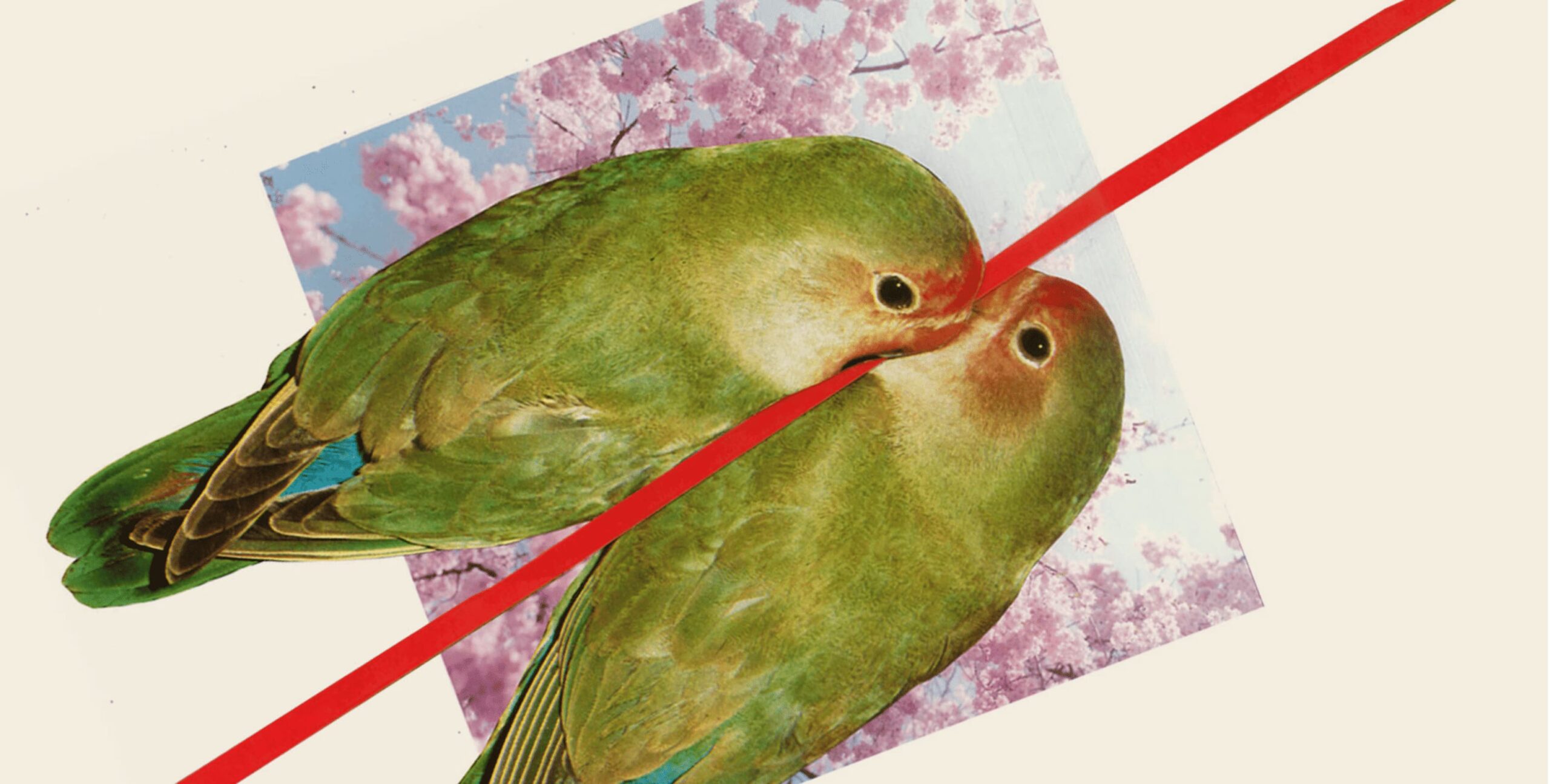 pasos destrozar relacion de pareja